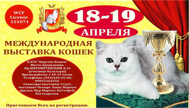 Международная выставка кошек «Весенний карнавал 2015» в Иваново