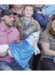 Международная выставка кошек «Весенний карнавал 2015» в Иваново белый кот
