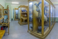 Зоологический музей ИвГУ